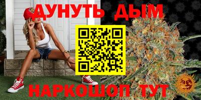 шишки Нарткала