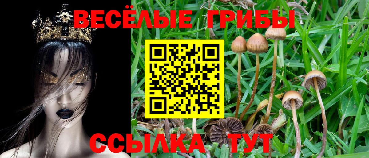 Углич  купить  сайты  Вход с VPN  Галлюциногенные грибы MAGIC MUSHROOMS 