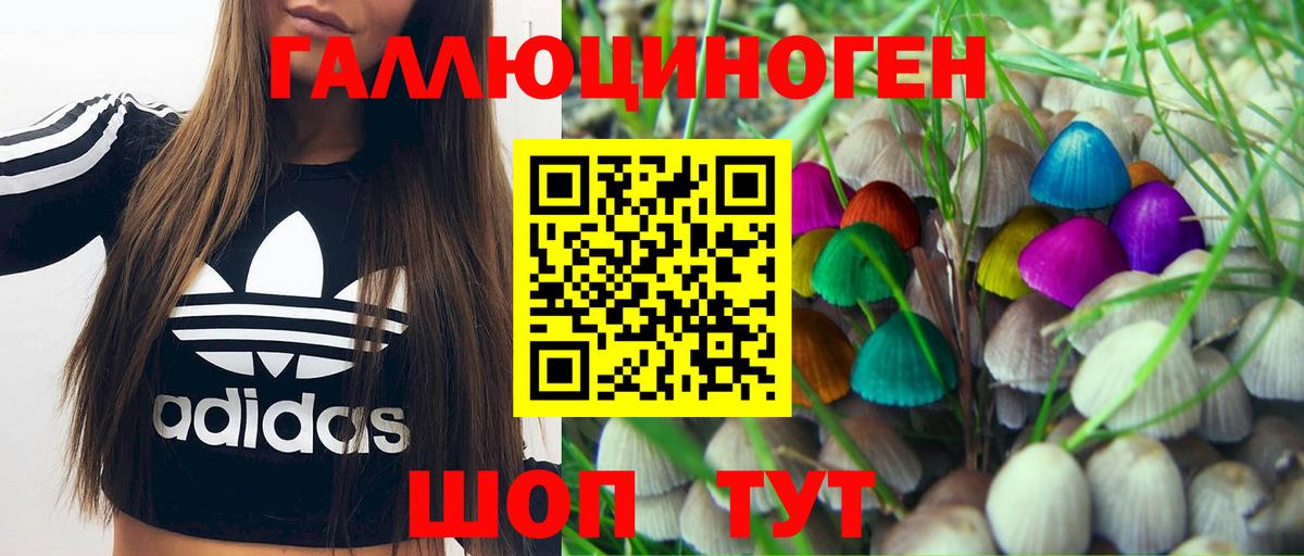 Псилоцибиновые грибы Psilocybe Углич